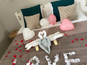 Photo de galerie - Occasion 