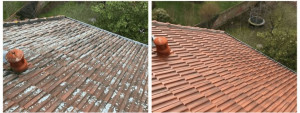 Photo de galerie - Nettoyage toiture fait à parthenay 