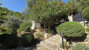 Photo de galerie - Taille Ornementale