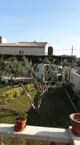 Photo de galerie - Taille de haies et d'arbustes