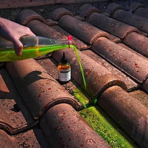 Photo de galerie - Couverture - Toiture