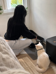 Photo de galerie - Garde chat
