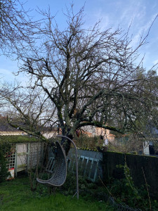 Photo de galerie - Avant