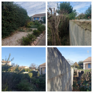 Photo de galerie - Rabattage de haie