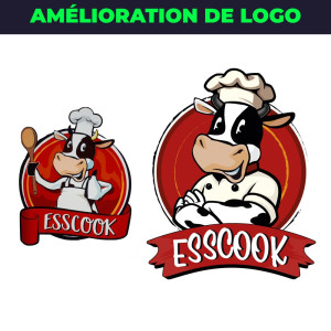 Photo de galerie - Amélioration du logo pour la socitété Escook