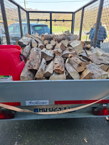 Photo de galerie - Evacution bois de chauffage 