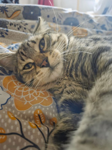 Photo de galerie - Paco