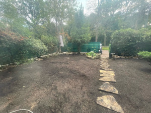 Photo de galerie - Sème de gazon Après 