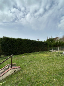 Photo de galerie - Après le taillage