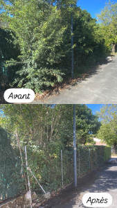 Photo de galerie - Taille de haie 