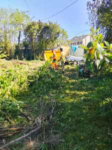 Photo de galerie - Débroussaillage de haut