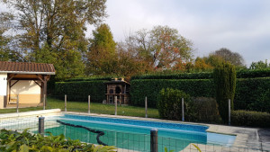 Photo de galerie - Paysagiste - Aménagement du jardin