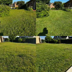 Photo de galerie - Tonte de pelouse - Débroussaillage