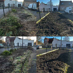 Photo de galerie - Paysagiste - Aménagement du jardin