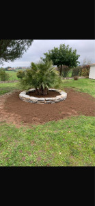 Photo de galerie - Paysagiste - Aménagement du jardin