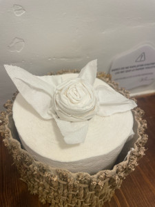 Photo de galerie - Lingerie - Repassage