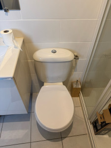 Photo de galerie - Réparation d’une chasse d’eau