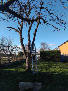 Photo de galerie - Belle taille 