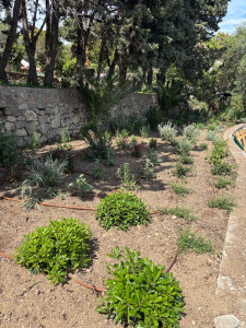 Photo de galerie - Paysagiste - Aménagement du jardin