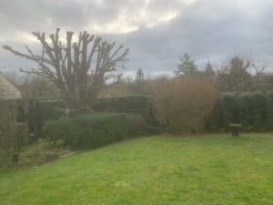 Photo de galerie - Entretien de jardin 