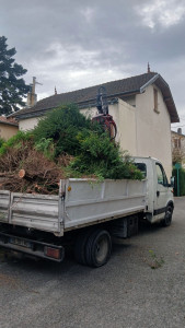 Photo de galerie - Elagage et coupe d'arbres