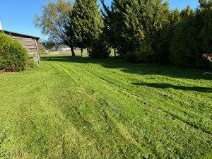 Photo de galerie - Tonte 