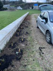 Photo de galerie - Paysagiste - Aménagement du jardin