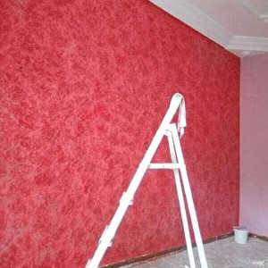 Photo de galerie - Plâtrerie - Murs - Plafonds