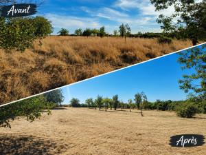 Photo de galerie - Remise au propre de tous types de terrain.