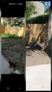 Photo de galerie - Engazonnement/plantation