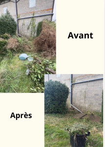 Photo de galerie - Taille, tonte et évacuation des déchets verts 