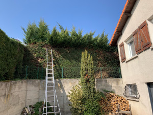 Photo de galerie - Taille de haies et d'arbustes