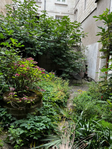 Photo de galerie - Avant remise en état d'un jardin à Tours centre