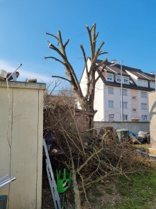 Photo de galerie - Après 