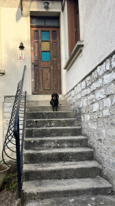 Photo de galerie - Ma princesse d'amour SEVERINA