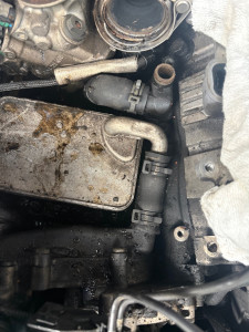 Photo de galerie - Remplacement refroidisseur egr sur un touareg v6 