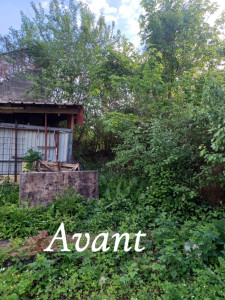 Photo de galerie - Taille de haies et d'arbustes