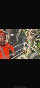 Photo de galerie - élagage 