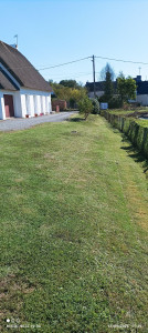 Photo de galerie - Entretien de jardin 
