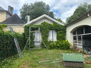 Photo de galerie - Taille de haies et d'arbustes