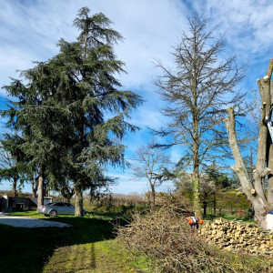 Photo de galerie - Paysagiste - Aménagement du jardin