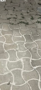Photo de galerie - Terrassement - Assainissement