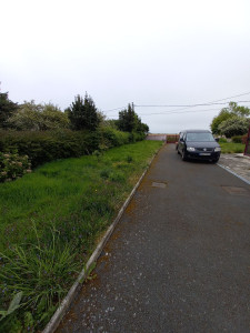 Photo de galerie - Tonte de pelouse - Débroussaillage