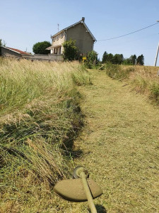 Photo de galerie - Voici un chantier de tonte?