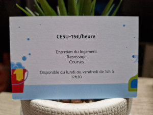 Photo de galerie - Entretien du logement 
Repassage 
Courses 