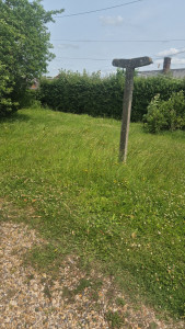 Photo de galerie - Tonte de pelouse - Débroussaillage