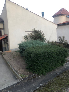 Photo de galerie - Taille debuisson