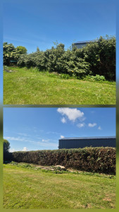 Photo de galerie - Rabattage 