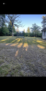 Photo de galerie - Tonte de pelouse - Débroussaillage