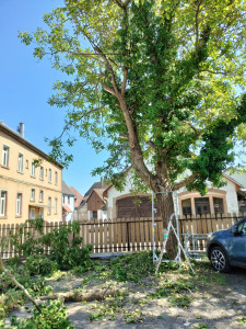 Photo de galerie - Découpe chez particulier 